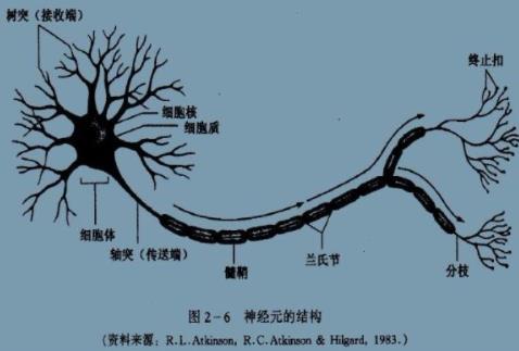 微信截图_20230413235135.jpg