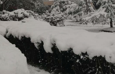 哈尔滨雪乡自由行旅游攻略 雪乡夜间旅游景点推荐