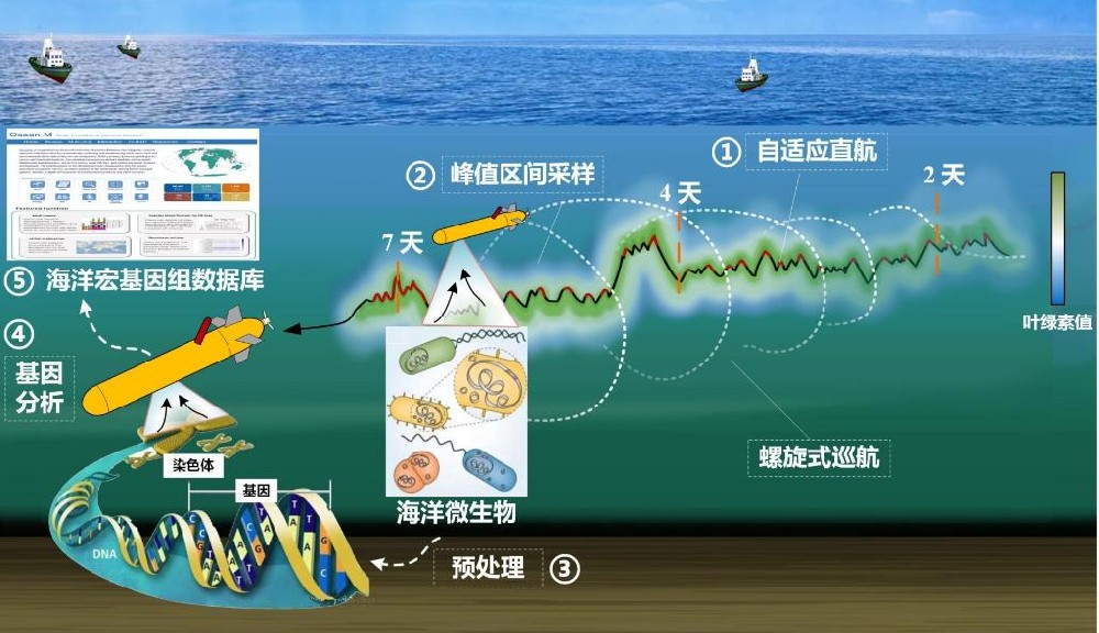 国产深海微生物原位采样自主水下航行器研制成功